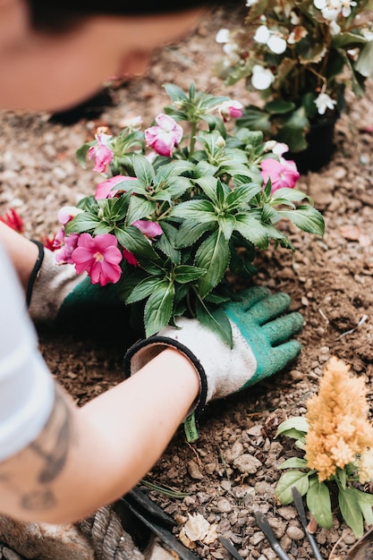 Photo gardener planting flowers in the garden close up photo young woman learning new gardening skills summer gardening copy space bed home garden seedling flowers into the black soil