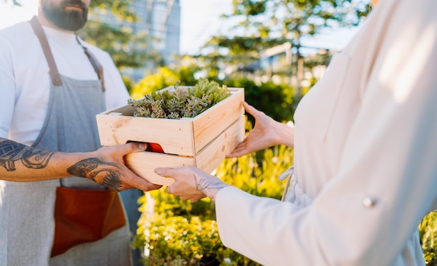 Gardener selling a box of plants to customer ecommerce online order concept high quality photo