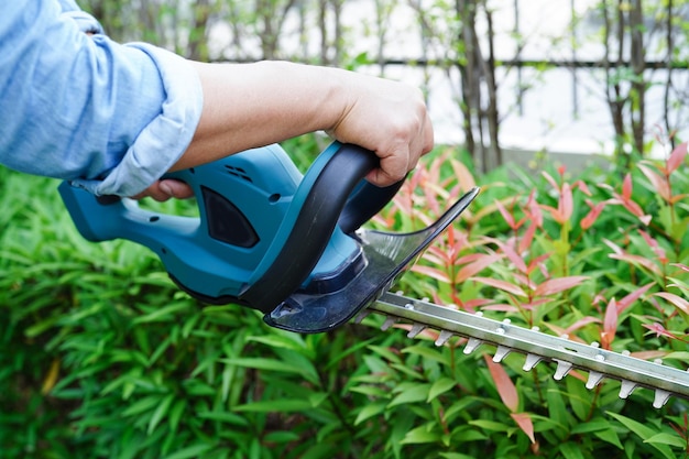 Gardener trimming bush by electric hedge clippers in garden Hobby at home