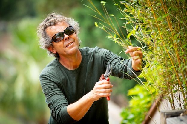 gardener trimming plants on a sunny day