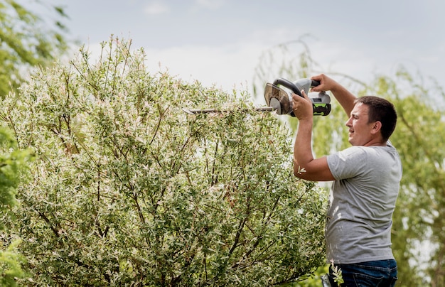 A gardener trimming trees with hedge trimmer