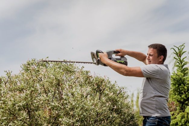 A gardener trimming trees with hedge trimmer