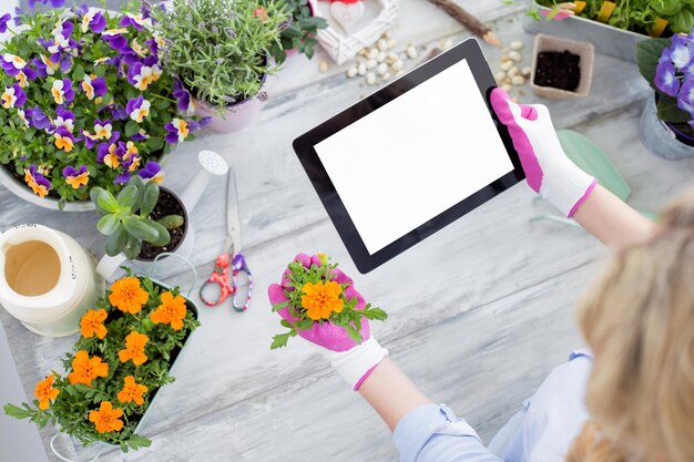 Photo gardener using tablet to learn new techniques