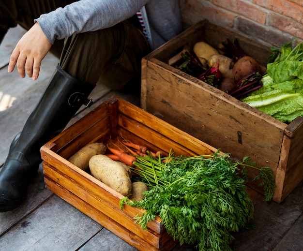 Gardener with organic fresh agricultural product