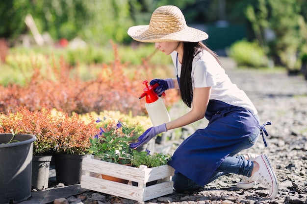 Gardener woman sprinkles flowers from a garden sprayer, close up photo.