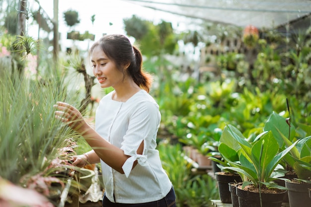 Gardener at work, take care of green plants