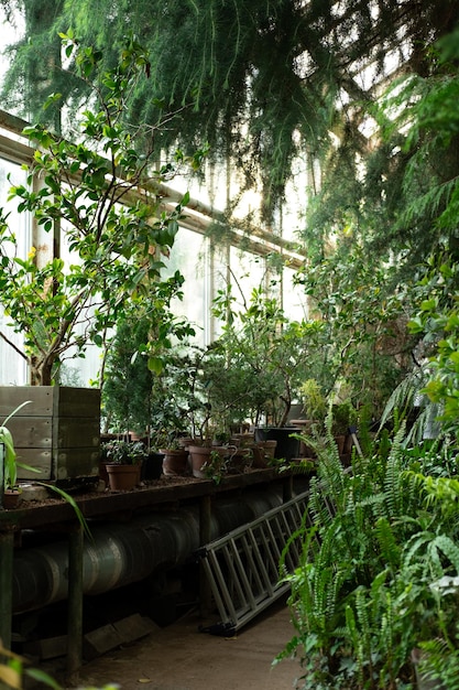 Gardeners workplace in the botanical garden plant care