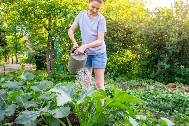 Gardening agriculture concept Woman gardener farm worker holding watering can and watering irrigating plant Girl gardening in garden Home grown organic food Local garden produce clean vegetables