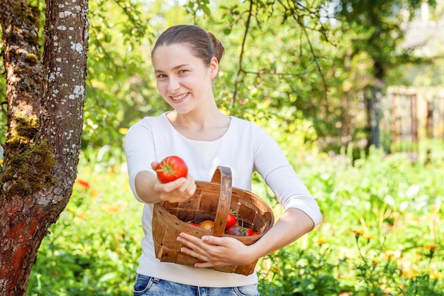 Gardening and agriculture concept. Young woman farm worker holding basket picking fresh ripe organic tomatoes in garden. Greenhouse produce. Vegetable food production