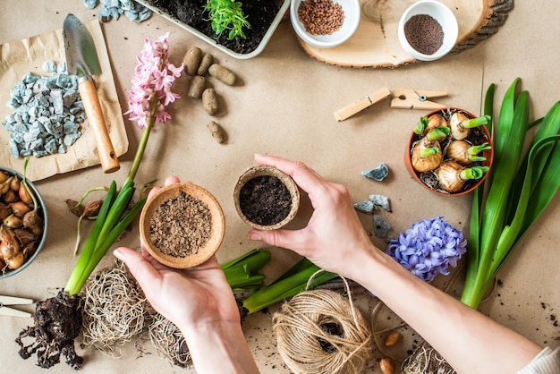 Photo gardening concept with spring flowers hyacinths garden tools background flat lay on craft paper