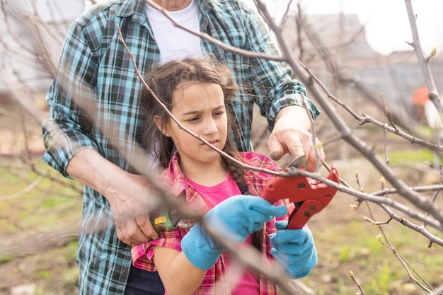 gardening, grandfather and granddaughter in the garden pruning trees.