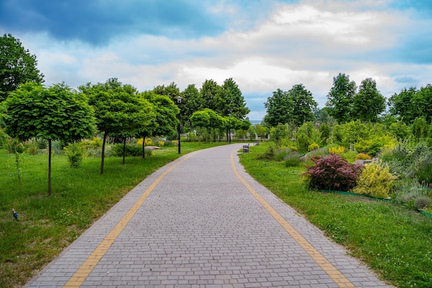 Gardening landscape and landscaping design as a perennial garden lawn with a flowerbed and ornamental plants in a decorative landscaped pathway.