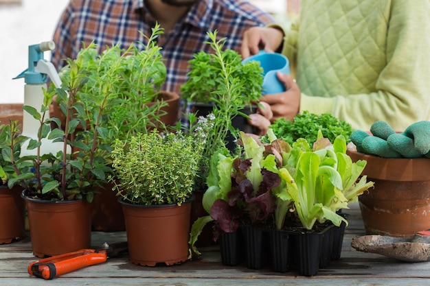 Gardening man, father and boy, kid at the backyard. Activity stimulating mental and brain health. Planting and growing spicy herbs, eco-friendly hobby and leisure, family time together concept.