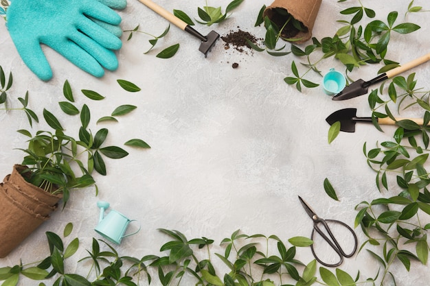 Gardening spring concept with green leaves and tools. Flat lay.