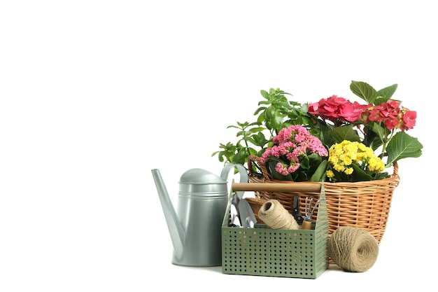 Gardening tools and accessories isolated on white background