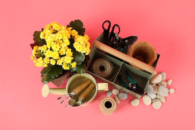 Gardening tools and accessories on pink background