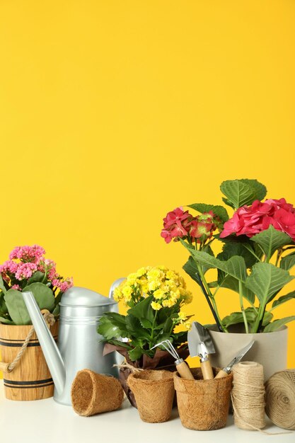 Gardening tools and accessories on white table against yellow background