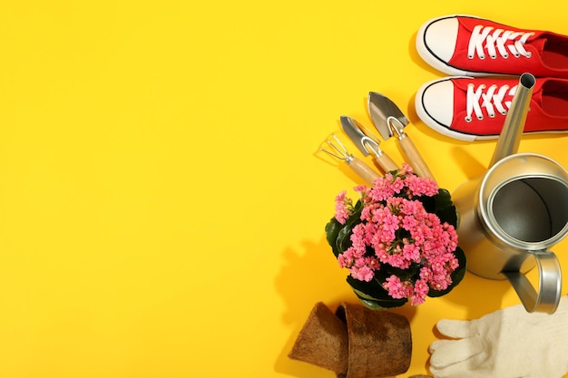 Gardening tools and accessories on yellow background