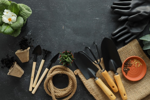 Gardening tools on dark wooden background with space for text top view