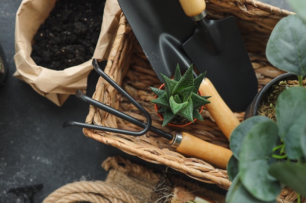 Gardening tools on dark wooden background with space for text top view