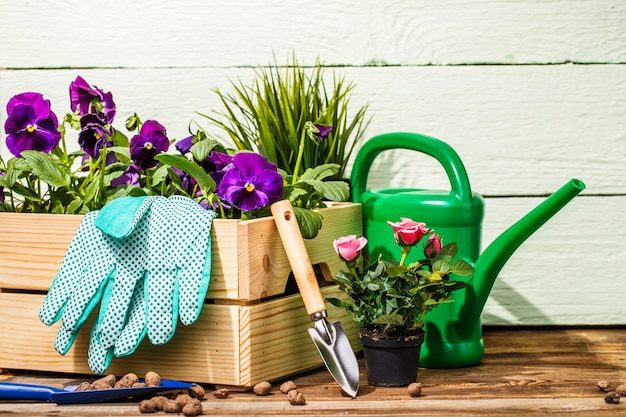 Gardening tools and flowers on the terrace in the garden