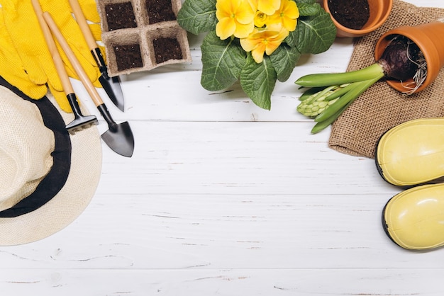 Gardening tools and flowers on white wooden background top view Home spring gardening hobbies