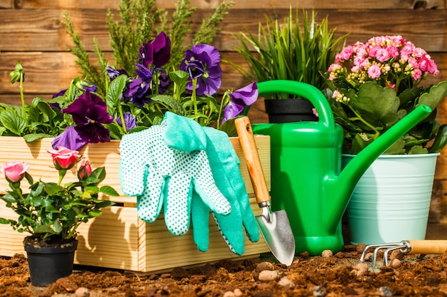 Gardening tools and flowers