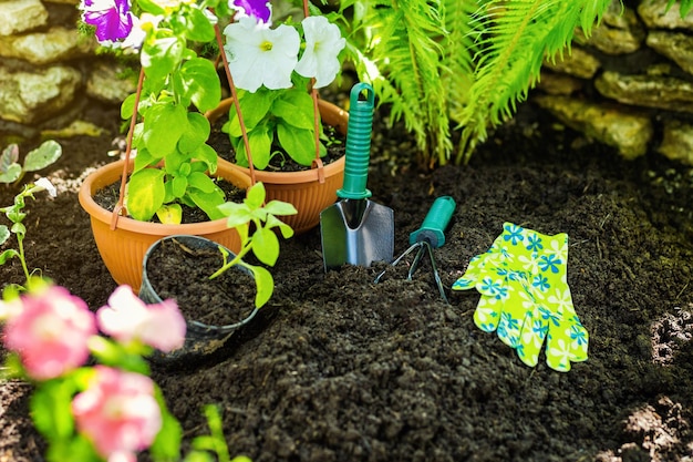 Gardening tools in the garden for working such as gloves flowers black earth