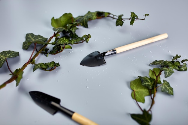 Photo gardening tools and green leaves on grey background spring garden works concept flat lay top view copy space