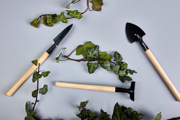 Photo gardening tools and green leaves on grey background spring garden works concept flat lay top view copy space