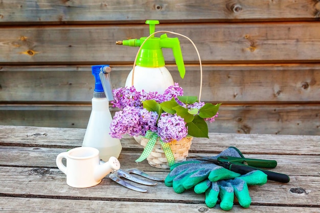 Gardening tools watering can shovel spade pruner rake glove lilac flowers on vintage wooden table Spring or summer in the garden eco nature horticulture hobby concept background