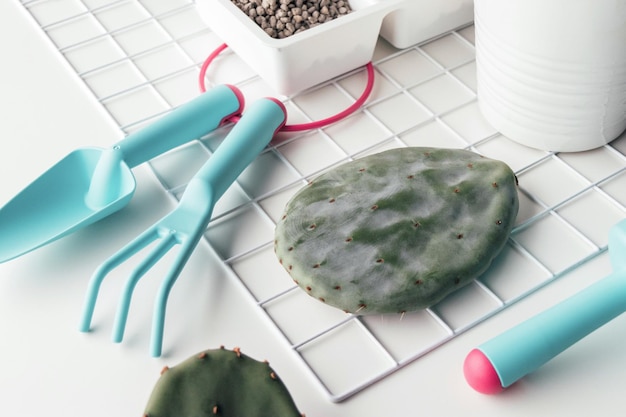 Gardening tools with prickly pear