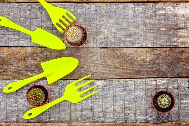 Gardening Tools on wooden background