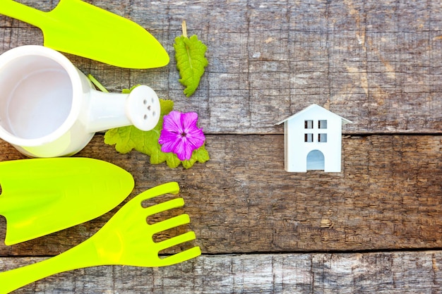 Gardening Tools on wooden background