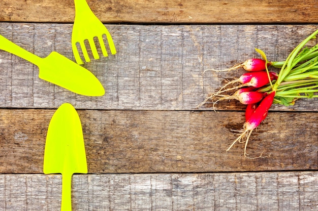 Gardening tools on wooden background