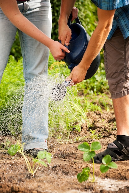 Gardening, watering the plants