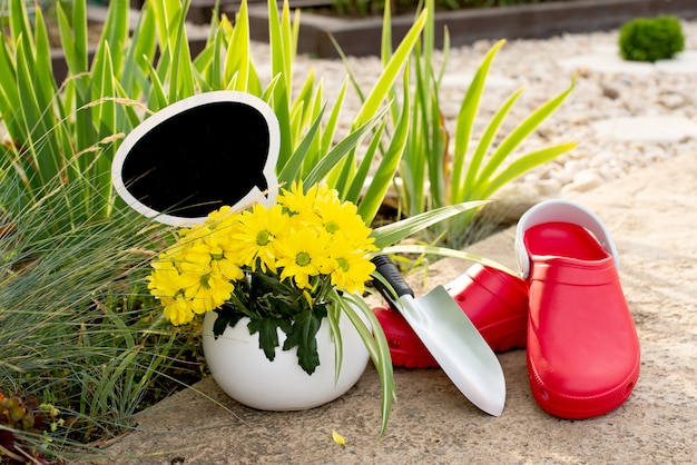 Photo gardening. work  in the garden. tools, watering can and flower in a pot on a background of green leaves. copy space. dark wooden background. rough boards