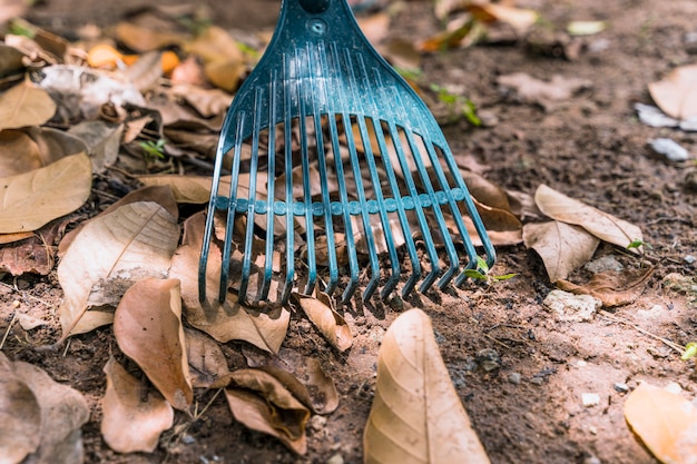 Gardening