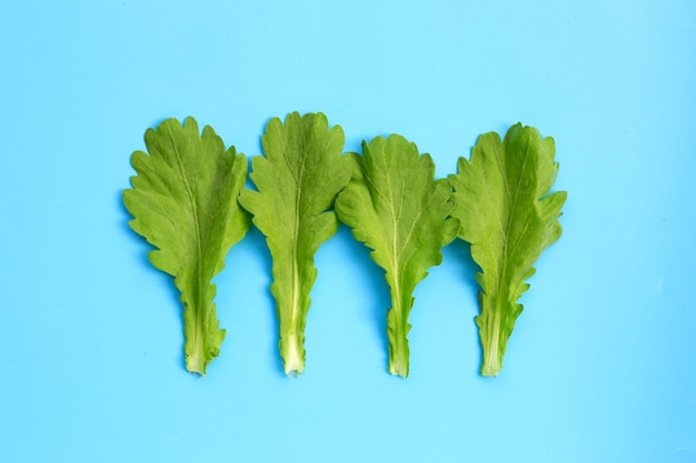 Garland Chrysanthemum leaves on blue wall.