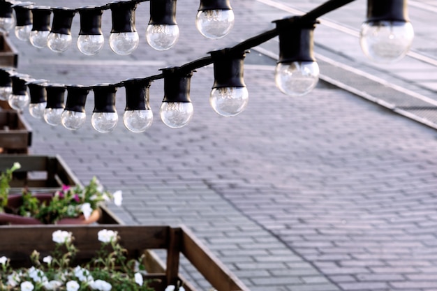 A garland of light bulbs close-up overlooking the street.