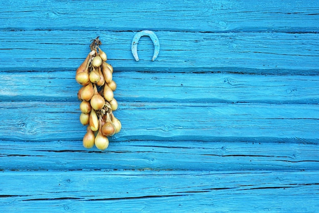 Garland made of onions is hanged on a wooden blue wall to dry up for conservation