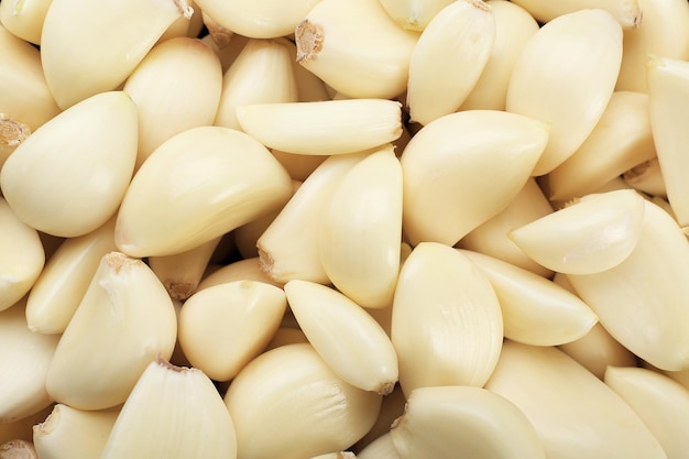 Garlic background