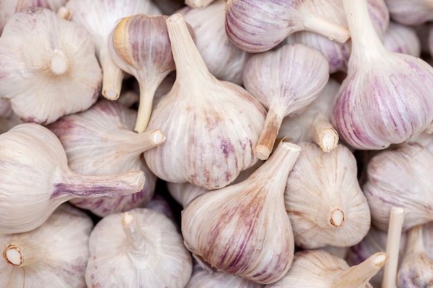 Garlic backgroundFresh heads of garlic close up