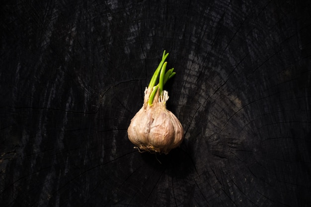 Garlic bulb on textured black wooden desk