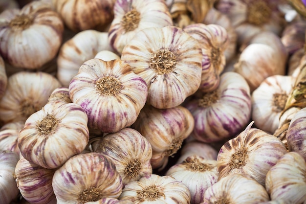 Garlic bunches in a market