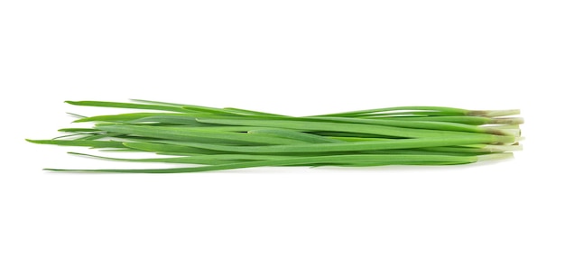 Garlic chives isolated on white background