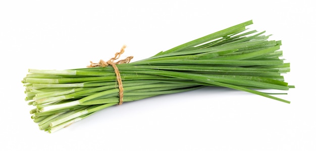 Garlic chives isolated