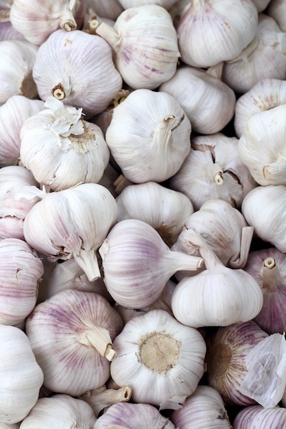 Garlic close-up