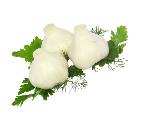 Garlic, decorating of parsley. Isolated over white