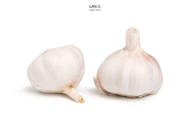 Garlic isolated on white background. Cooking spices